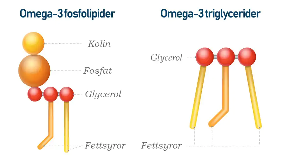 Vad är kolin? Vad är kolin?